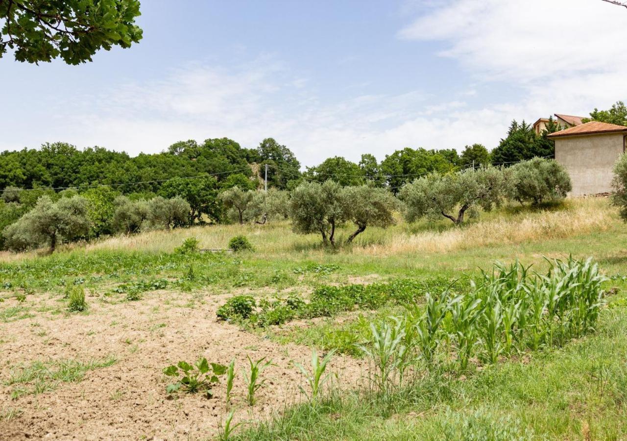 Laviano Agriturismo La Vammora מראה חיצוני תמונה