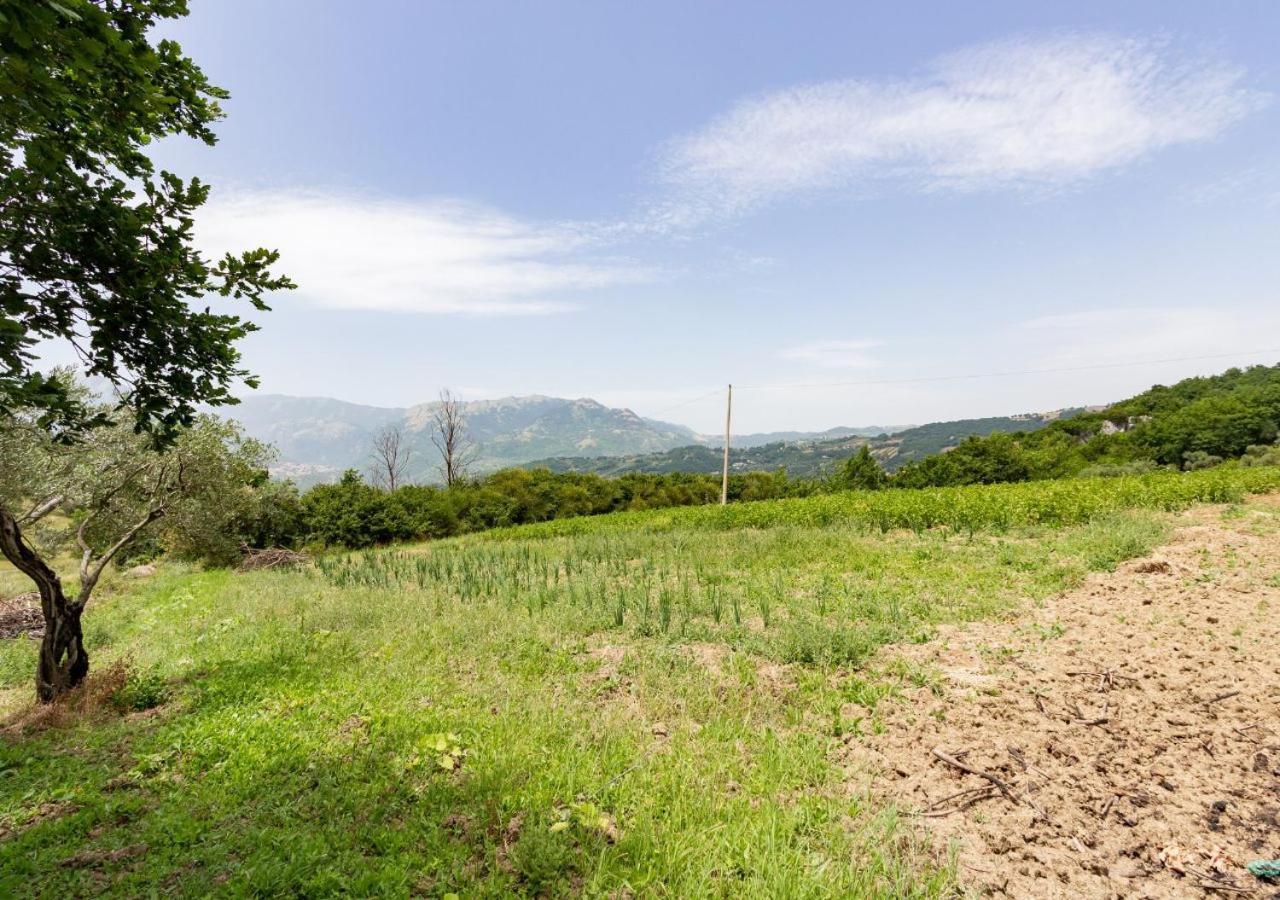 Laviano Agriturismo La Vammora מראה חיצוני תמונה