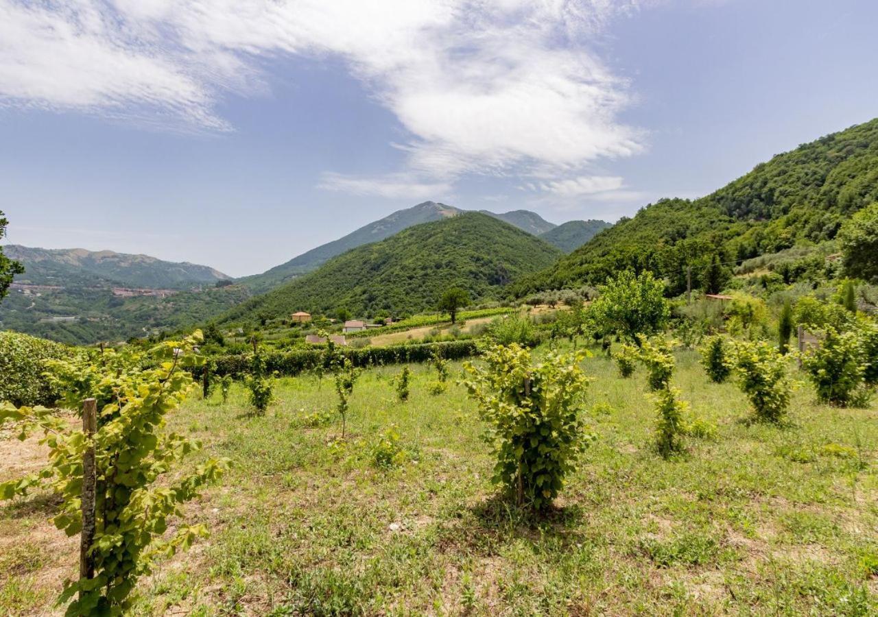 Laviano Agriturismo La Vammora מראה חיצוני תמונה
