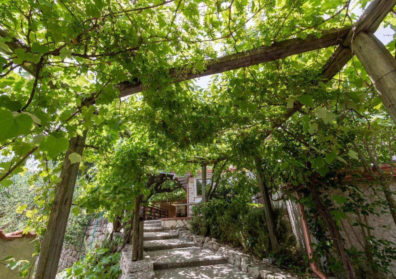 Laviano Agriturismo La Vammora מראה חיצוני תמונה